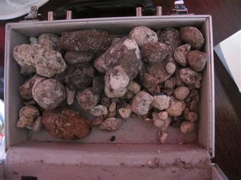 Ambergris: Myths, Truths, and Half.